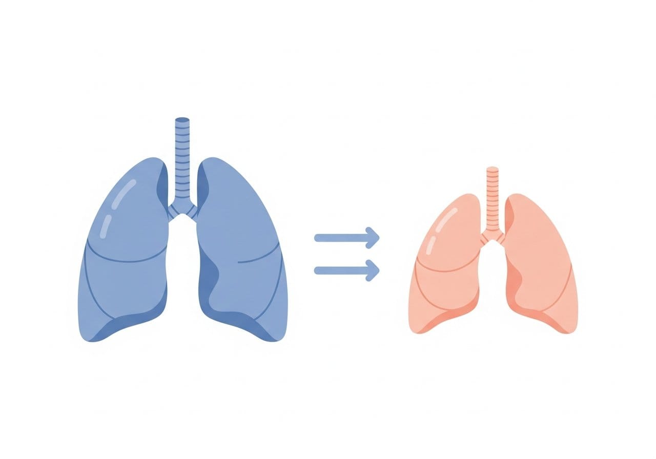 성인과 어린이의 폐 발달과 호흡량 차이 비교