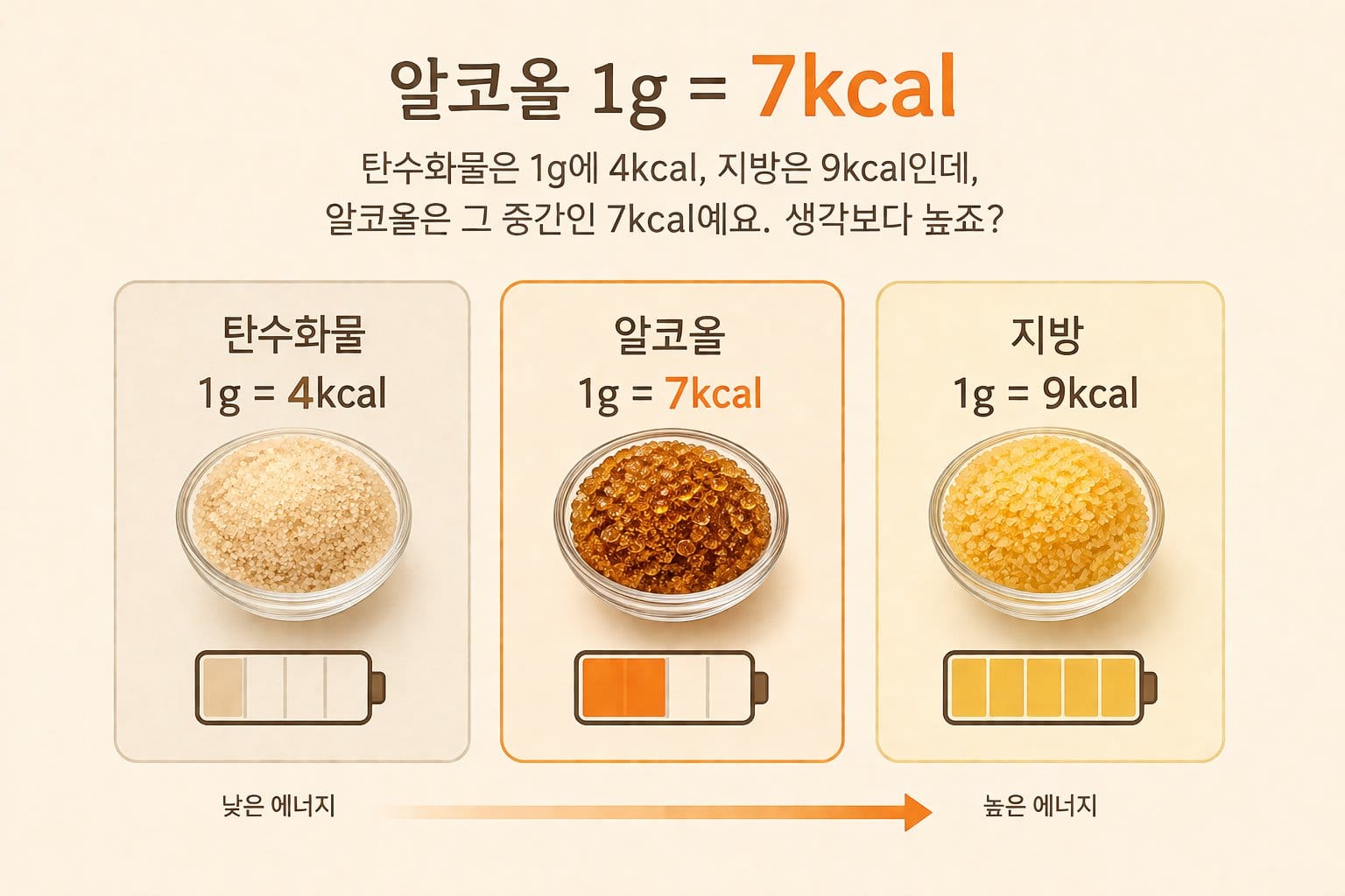 맥주 vs 소주 칼로리 한눈에 비교하기