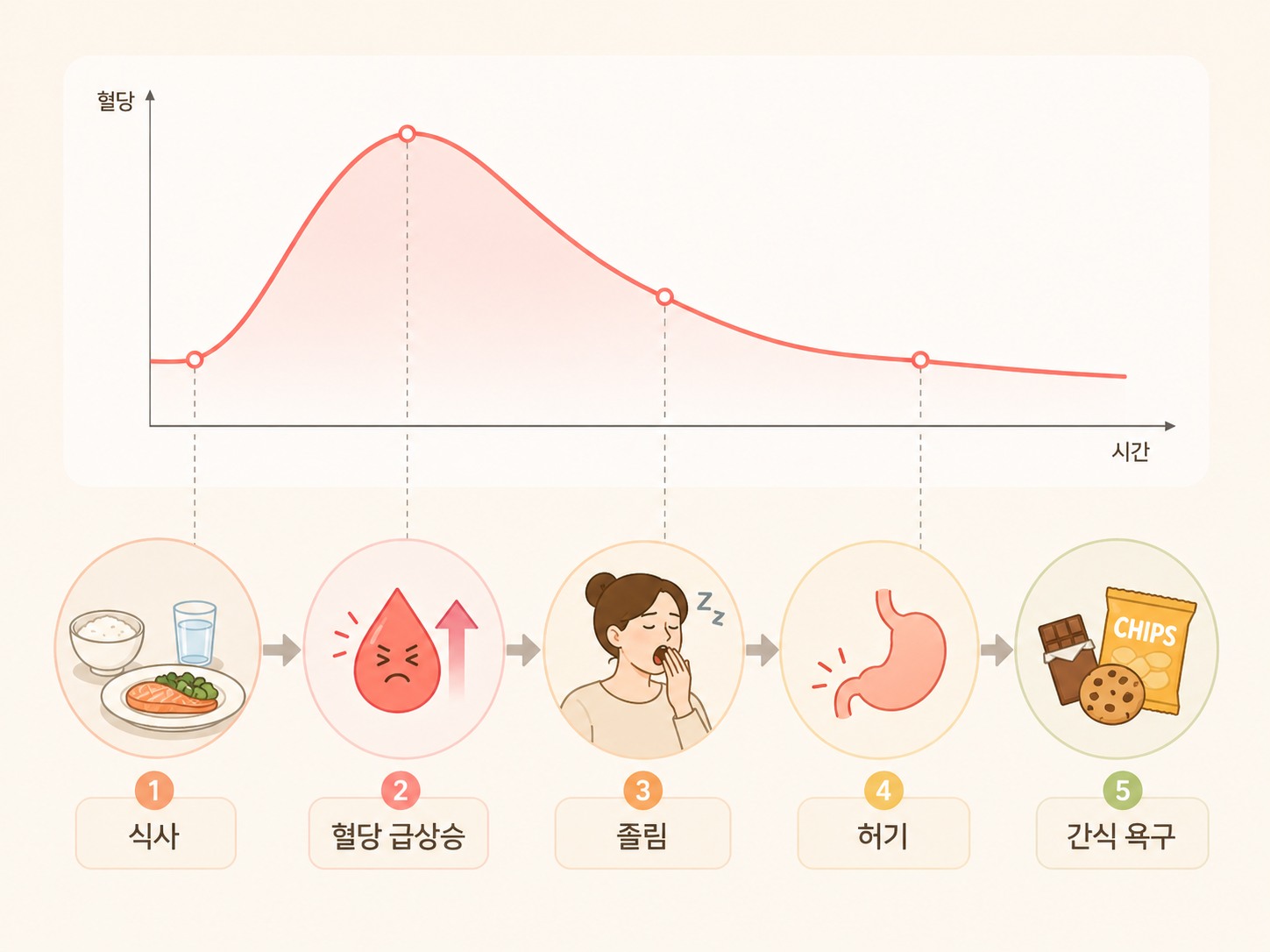 혈당 급상승 후 졸림·허기 흐름 인포그래픽