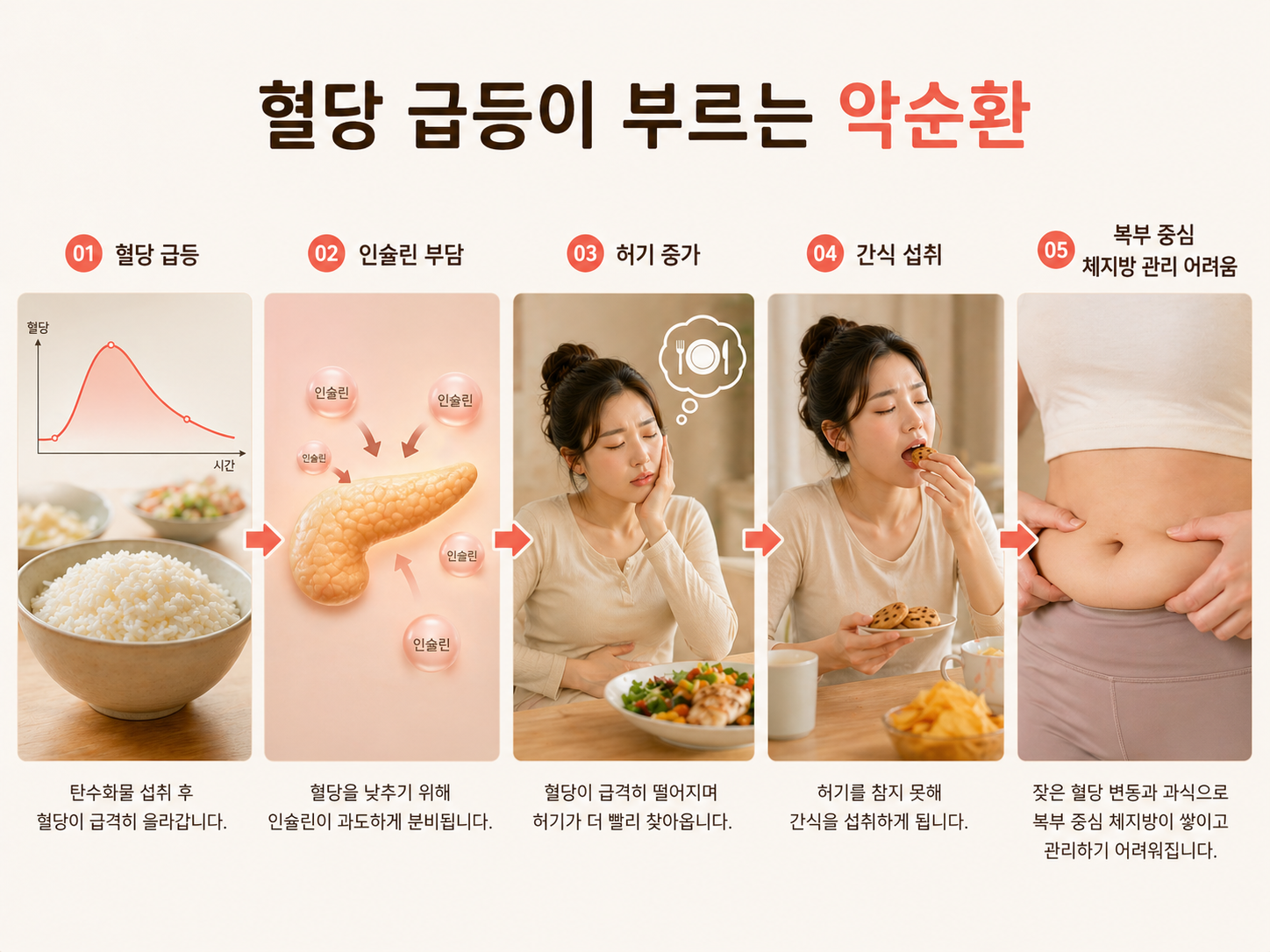 혈당→인슐린→내장지방 누적 흐름도