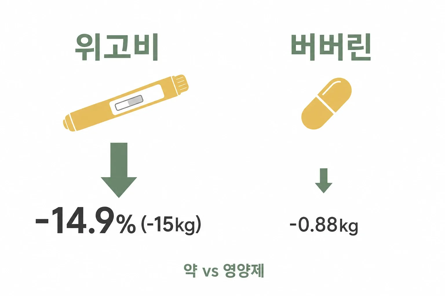위고비와 버버린 효과 크기 비교