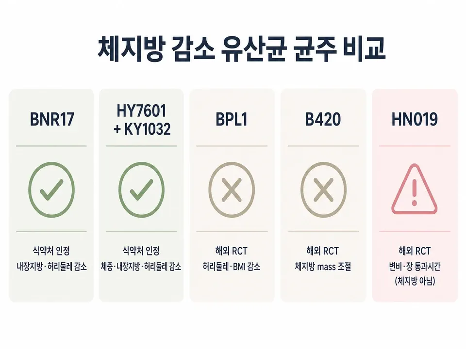 체지방 감소 유산균 5종 균주 비교