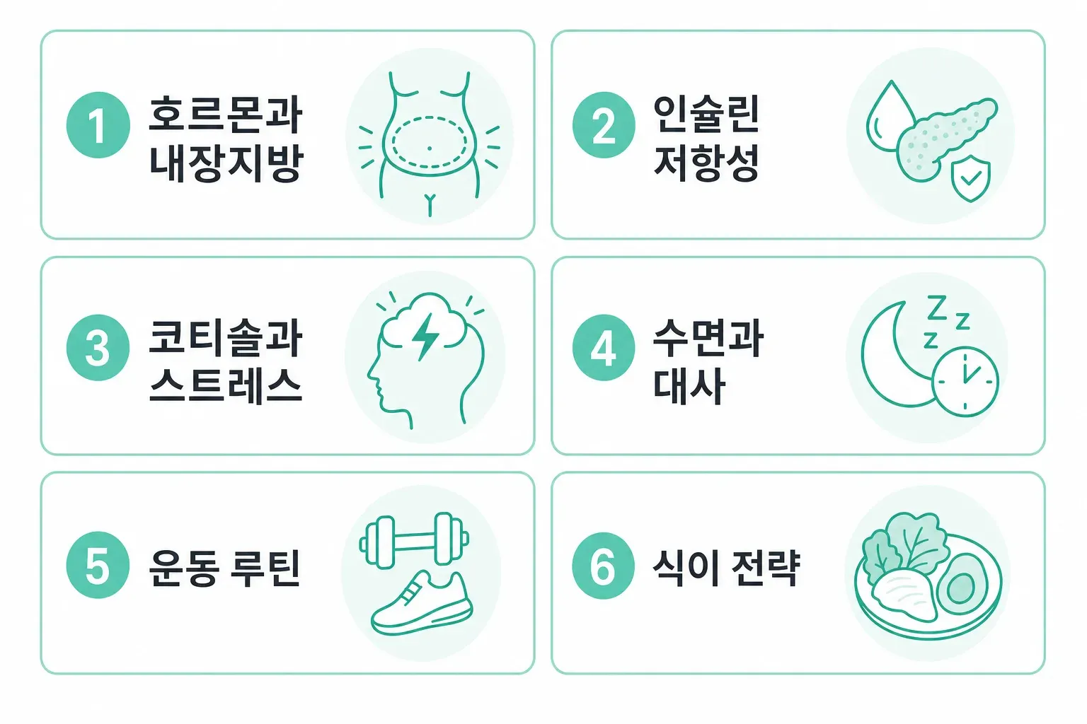 내장지방 호르몬 시리즈 1~6편 핵심 요약