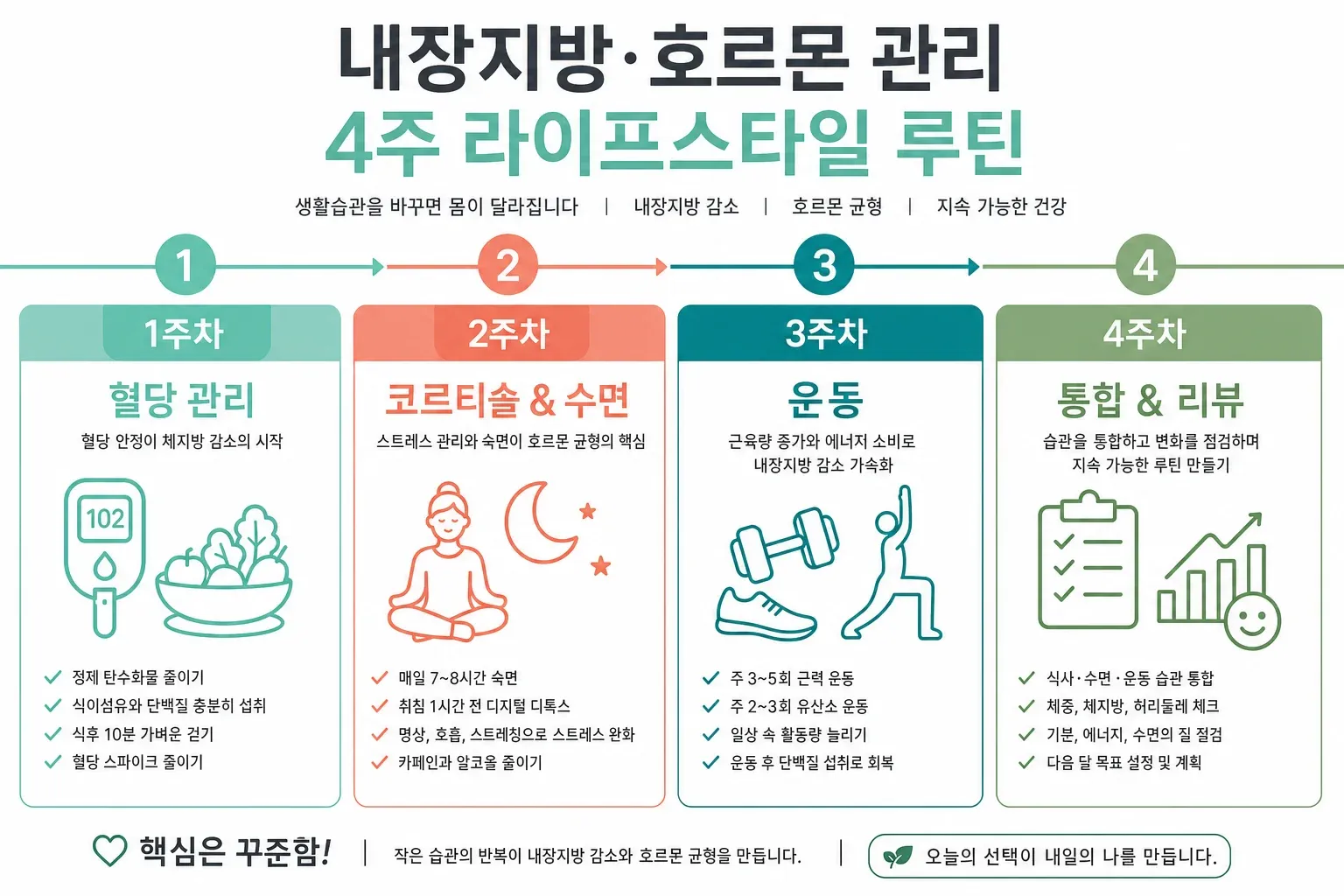 내장지방 4주 주차별 루틴 타임라인