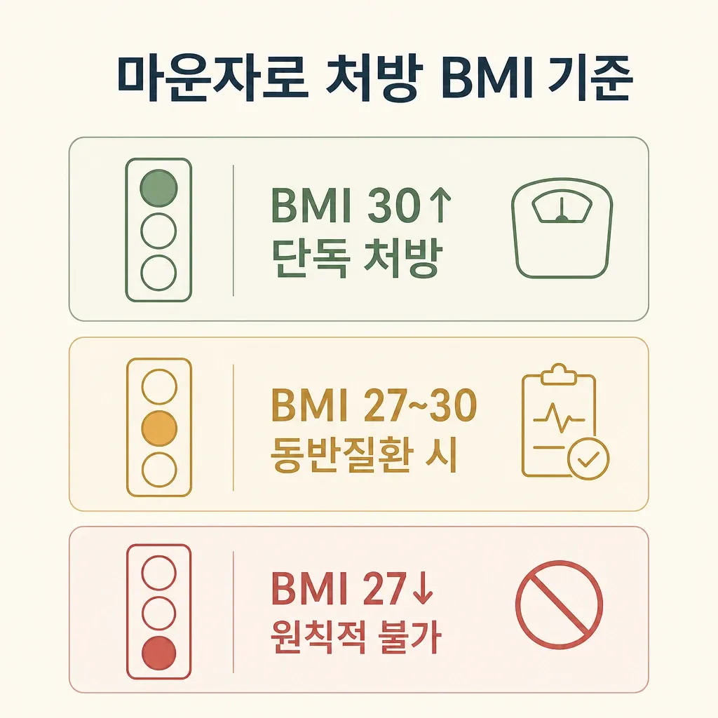 마운자로 처방 BMI 기준 인포그래픽