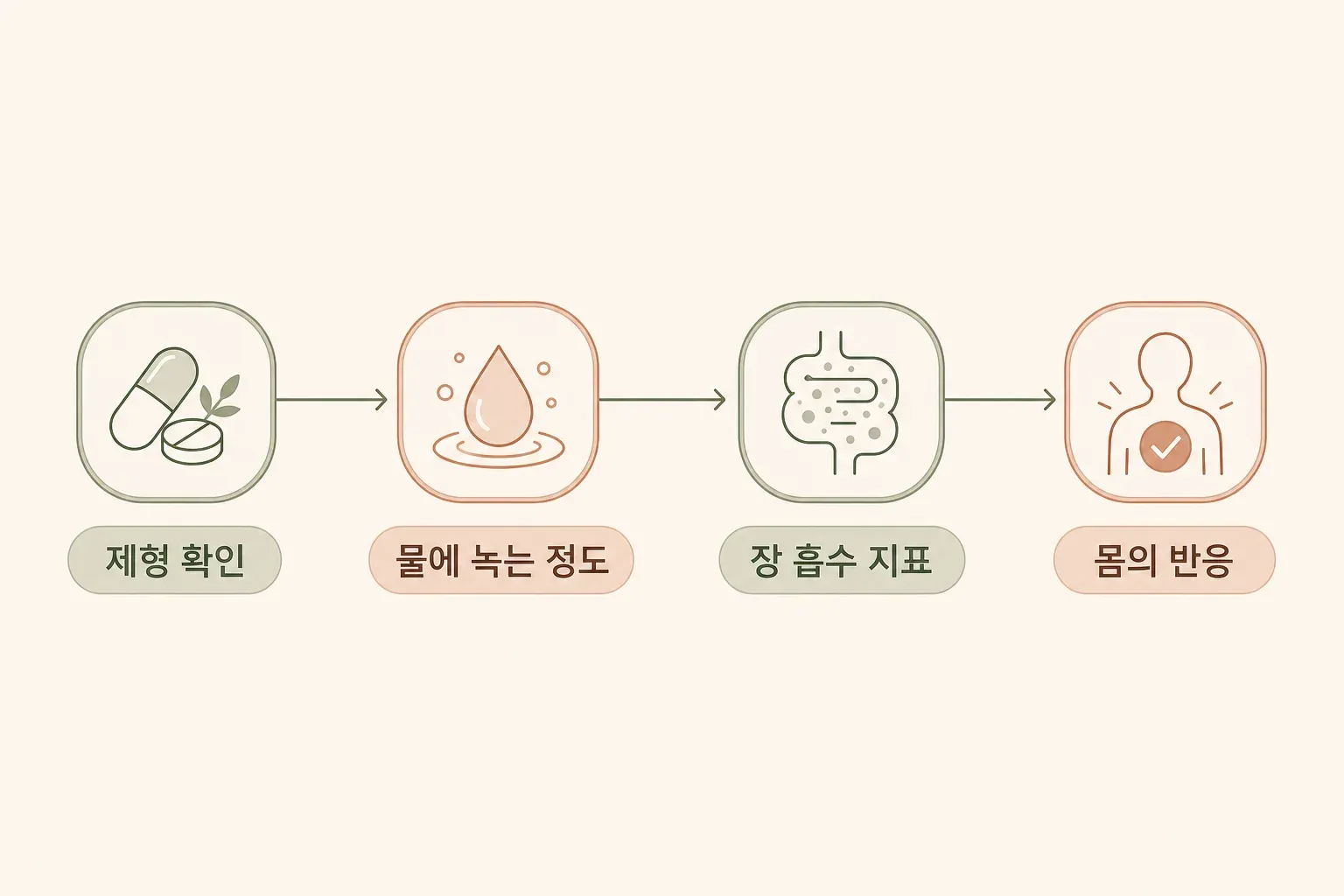 마그네슘 제형부터 몸의 반응까지 확인하는 선형 흐름